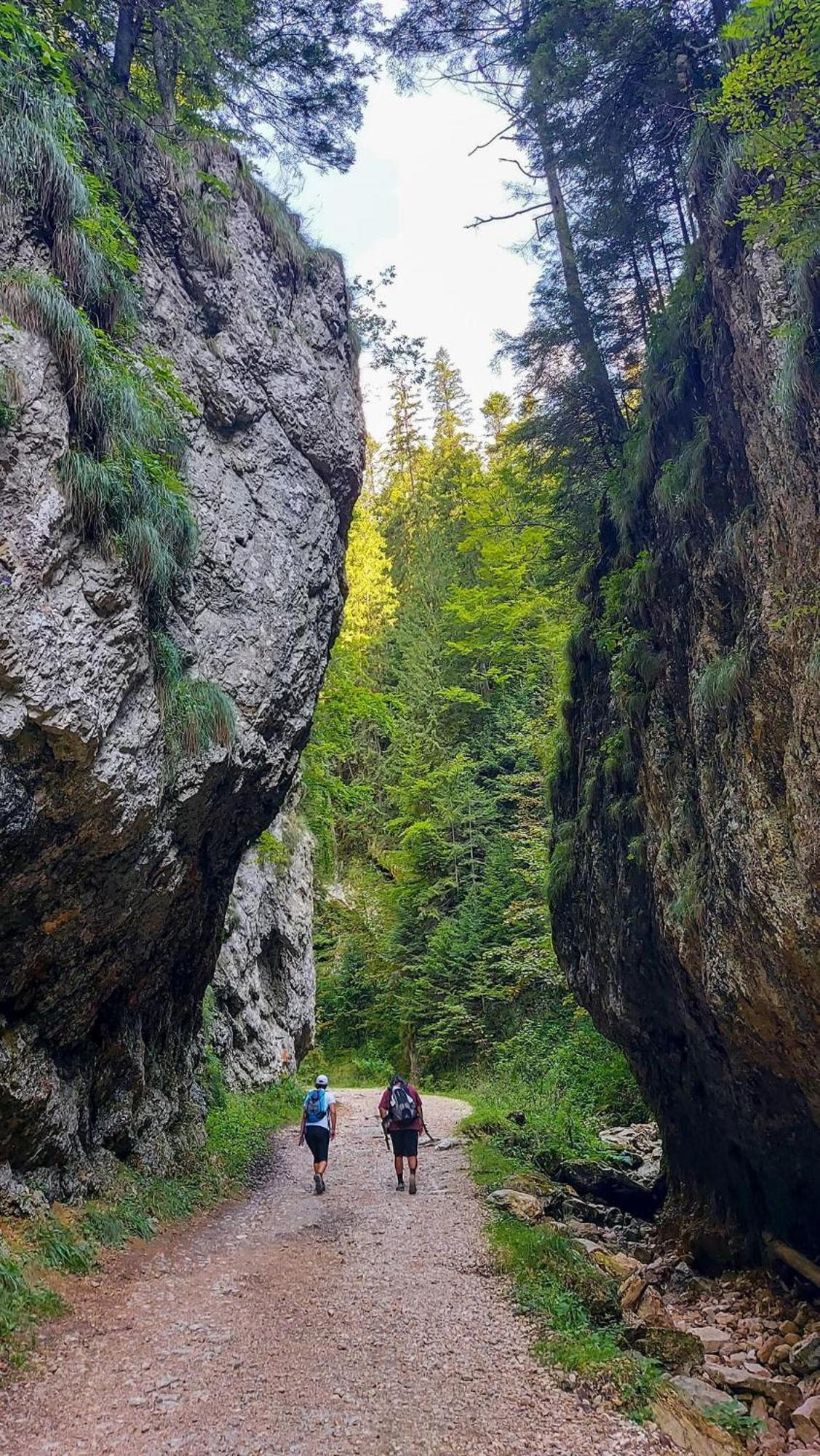Cazare Zorilor Zărneşti Habitación foto