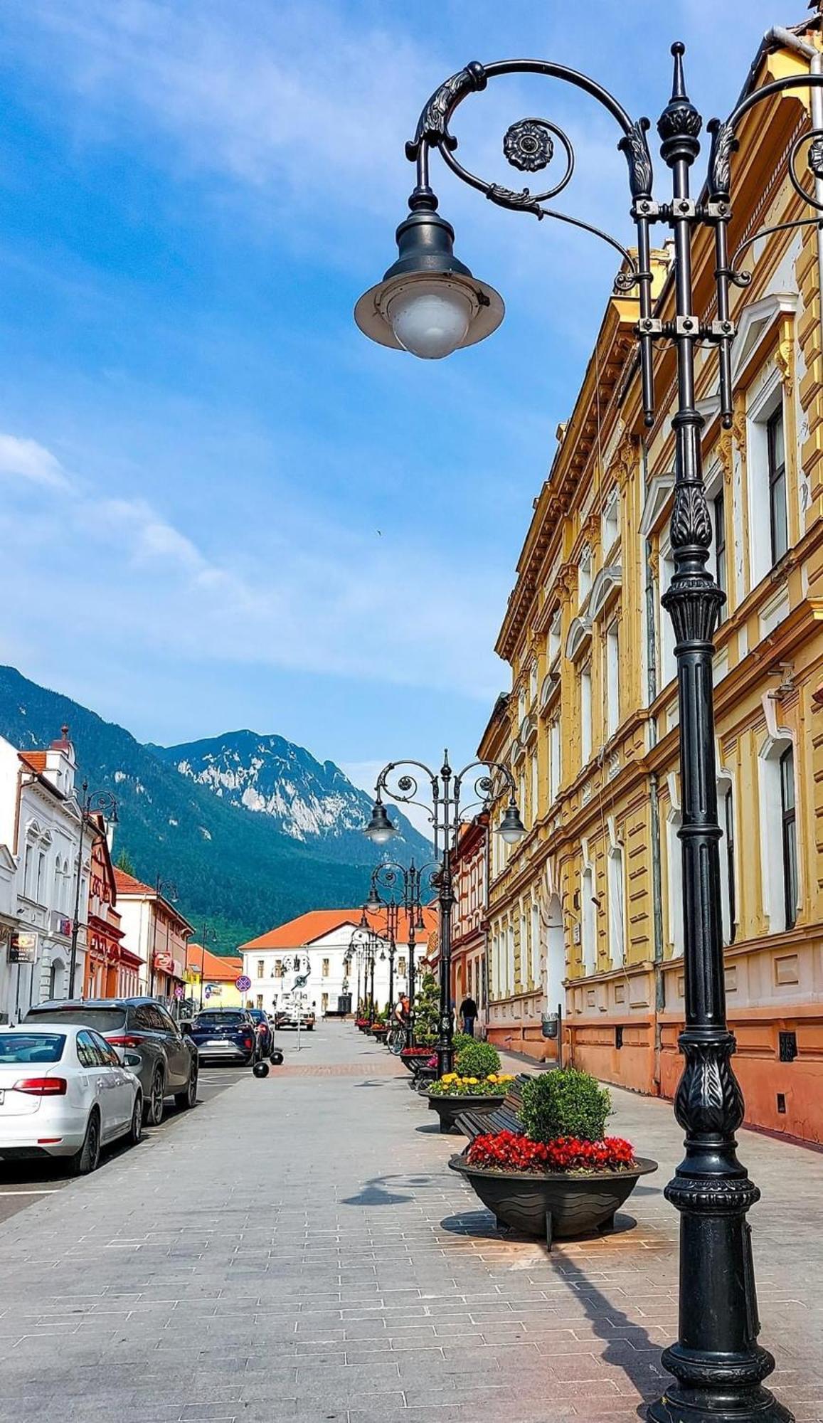 Cazare Zorilor Zărneşti Habitación foto