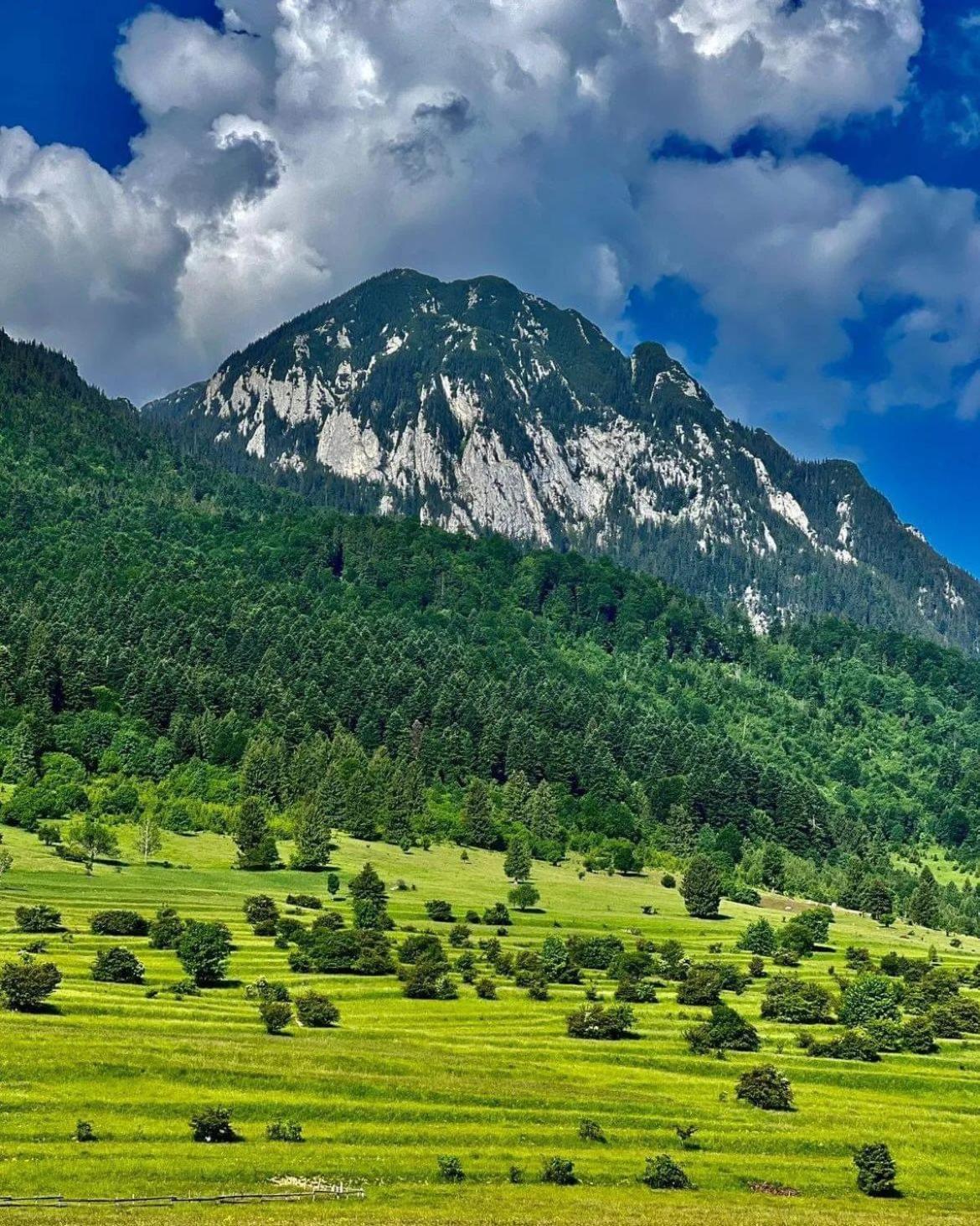 Cazare Zorilor Zărneşti Habitación foto