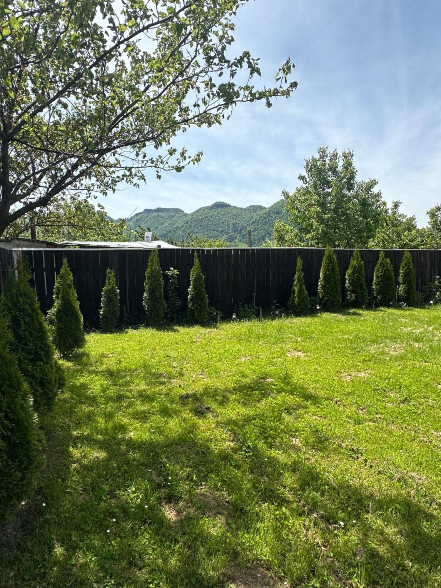 Cazare Zorilor Zărneşti Habitación foto