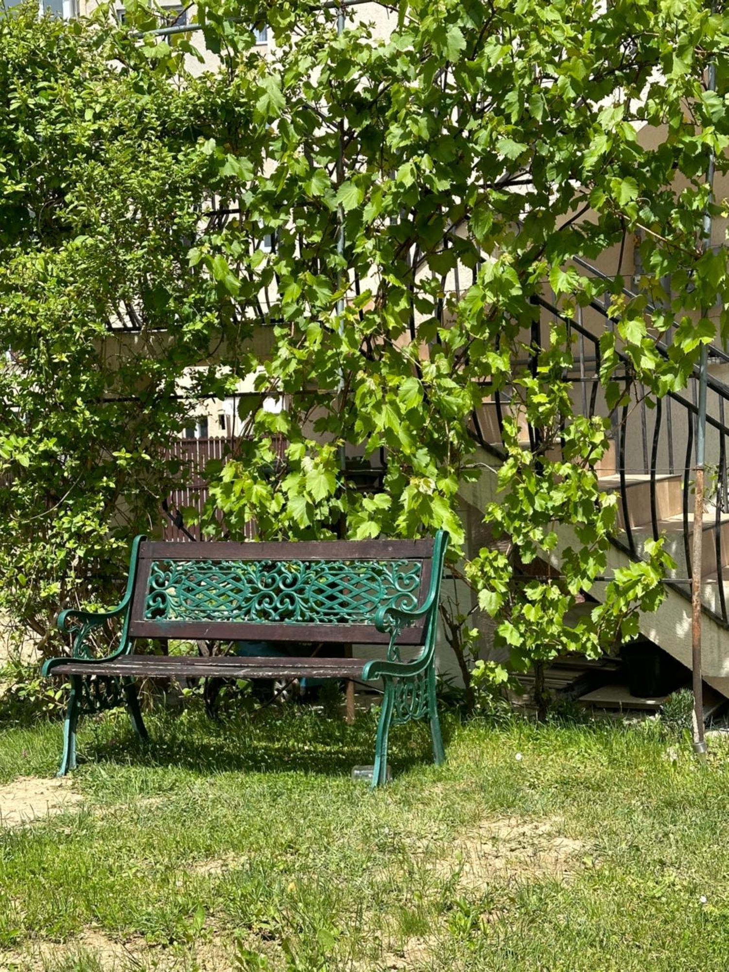 Cazare Zorilor Zărneşti Habitación foto